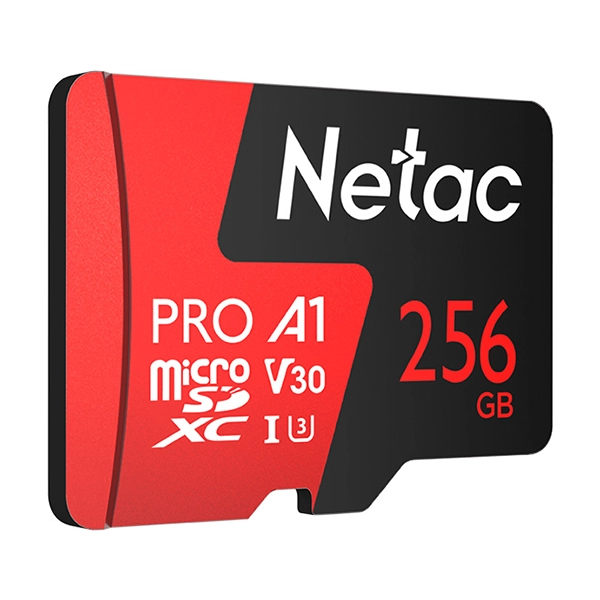 Netac P500 Extreme Pro Micro SD 256GB-1